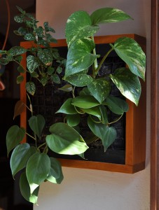 cuadrointeriorbiblio_72dpiWEB